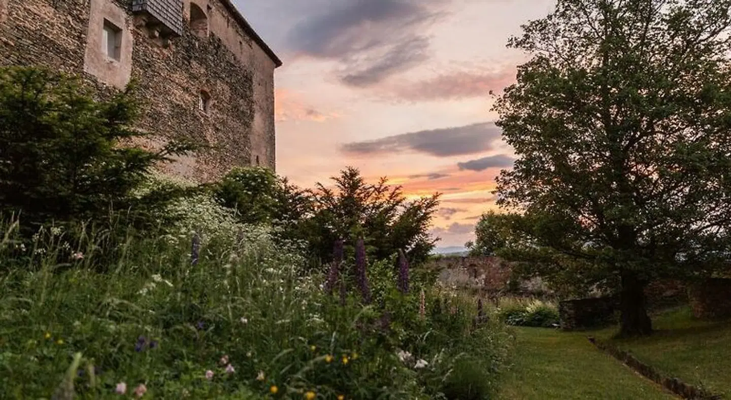 Burg Bernstein LANDSCAPE