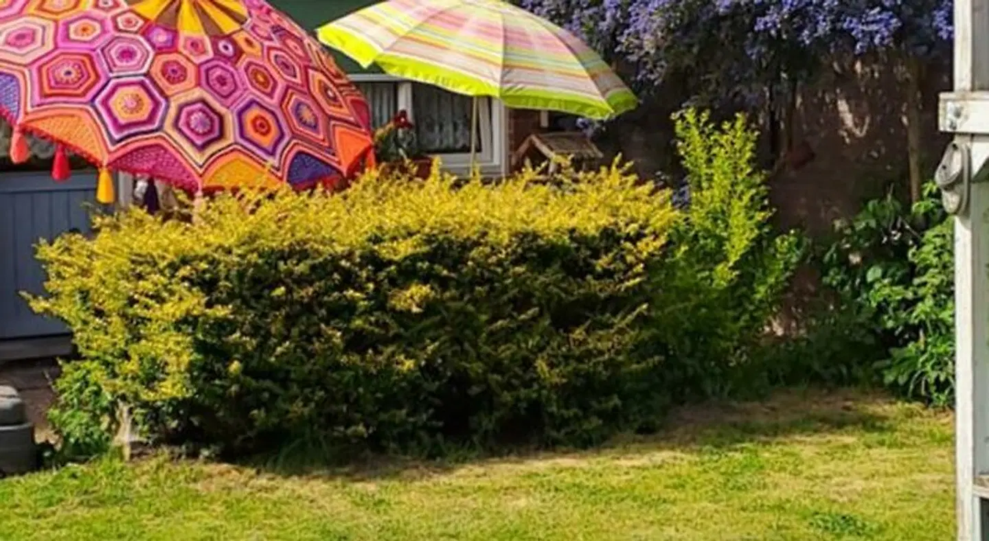 B&B Ut Kantuurke Garten