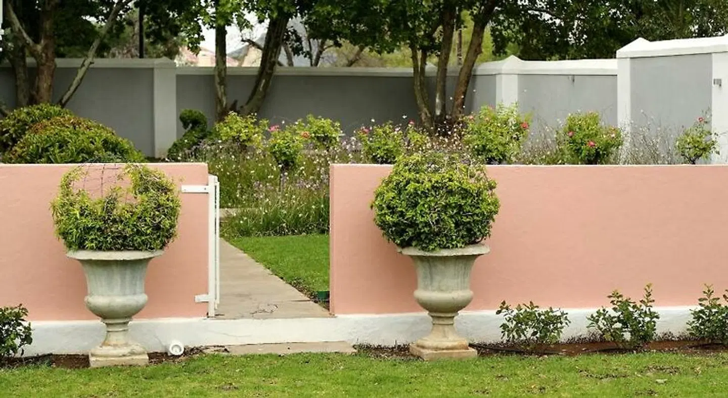 The Fancy Cactus Garten