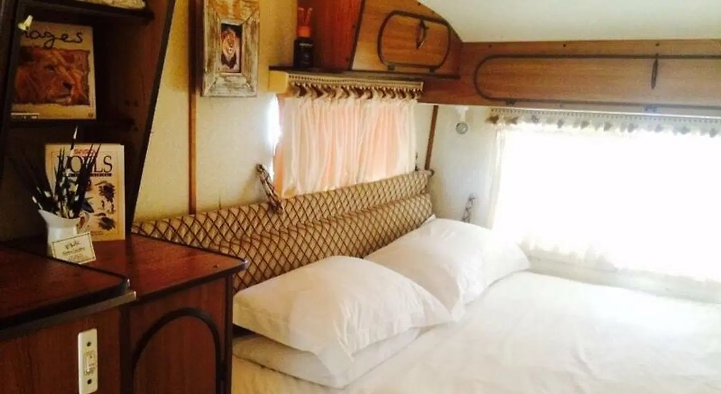 Kalahari Camelthorn Guesthouse and Camping ROOM_EXAMPLE