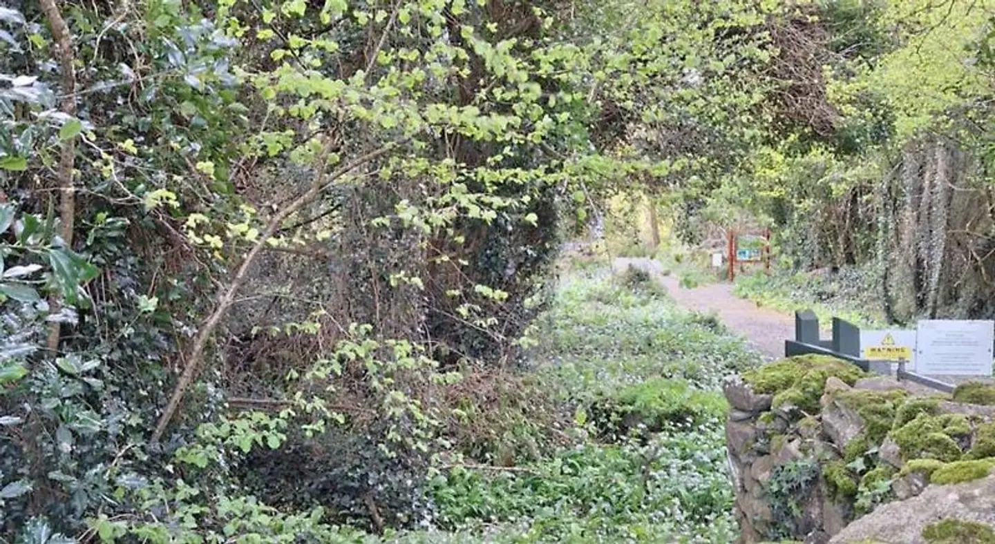 Ard Aoibhinn Roscommon LANDSCAPE