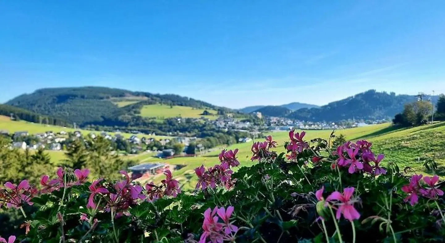 Wald Hotel Willingen LANDSCAPE