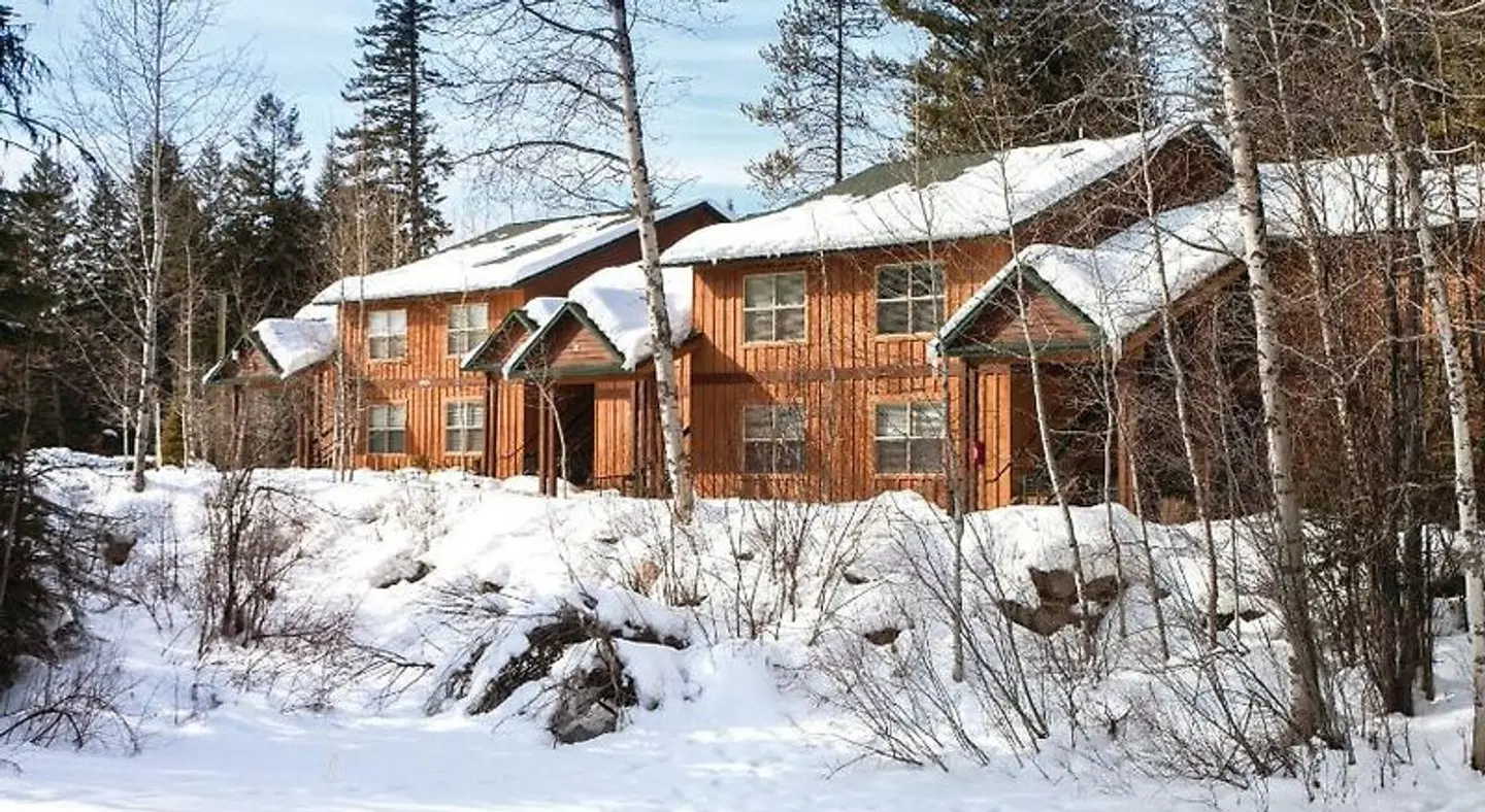 WorldMark McCall Tiere