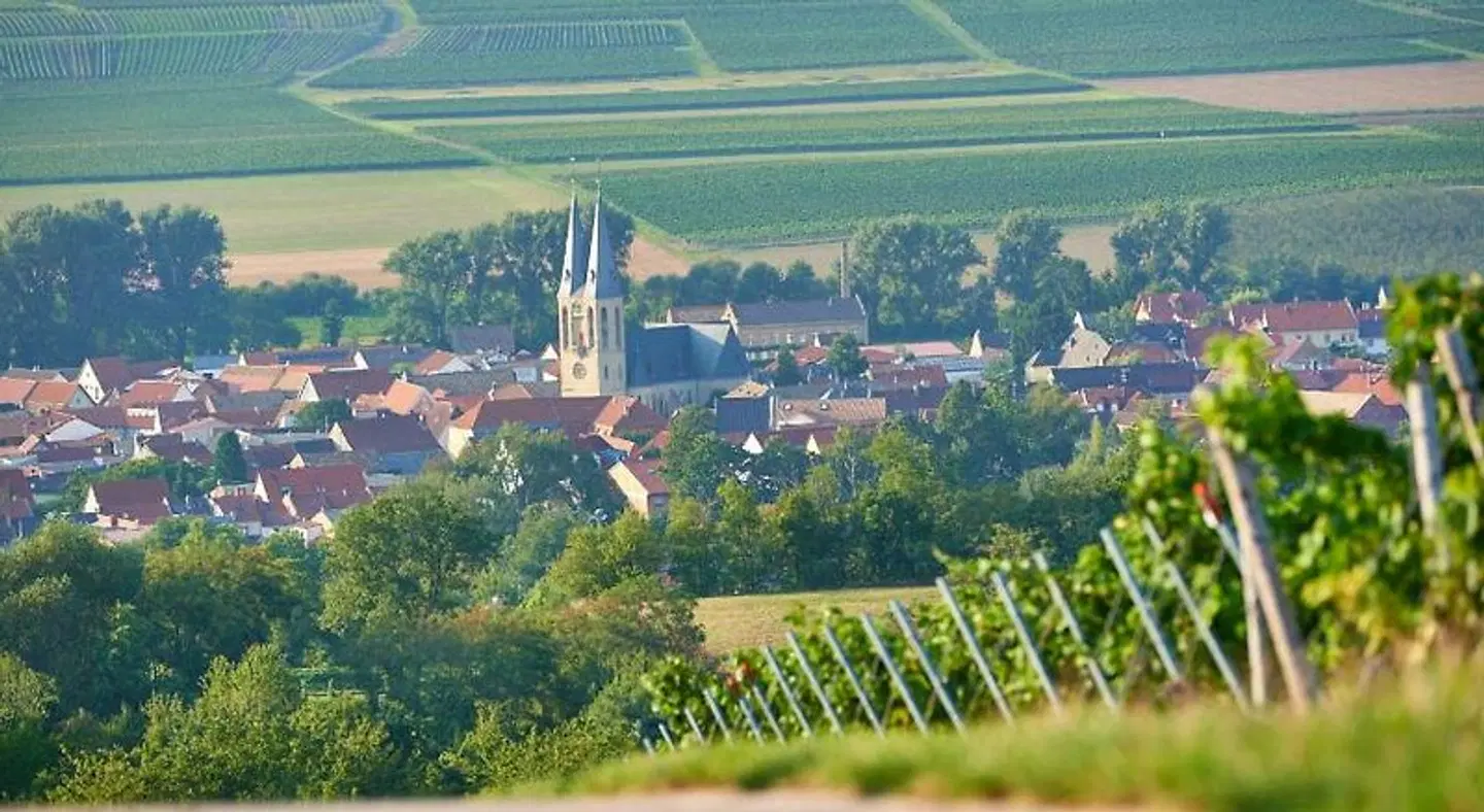 Landhotel im Klostereck Strubel-Roos EXTERIOR