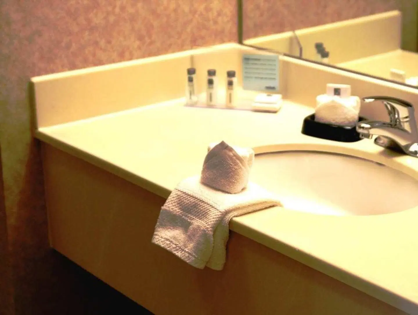 Hampton Inn Memphis-Southwind HEALTH_BEAUTY
