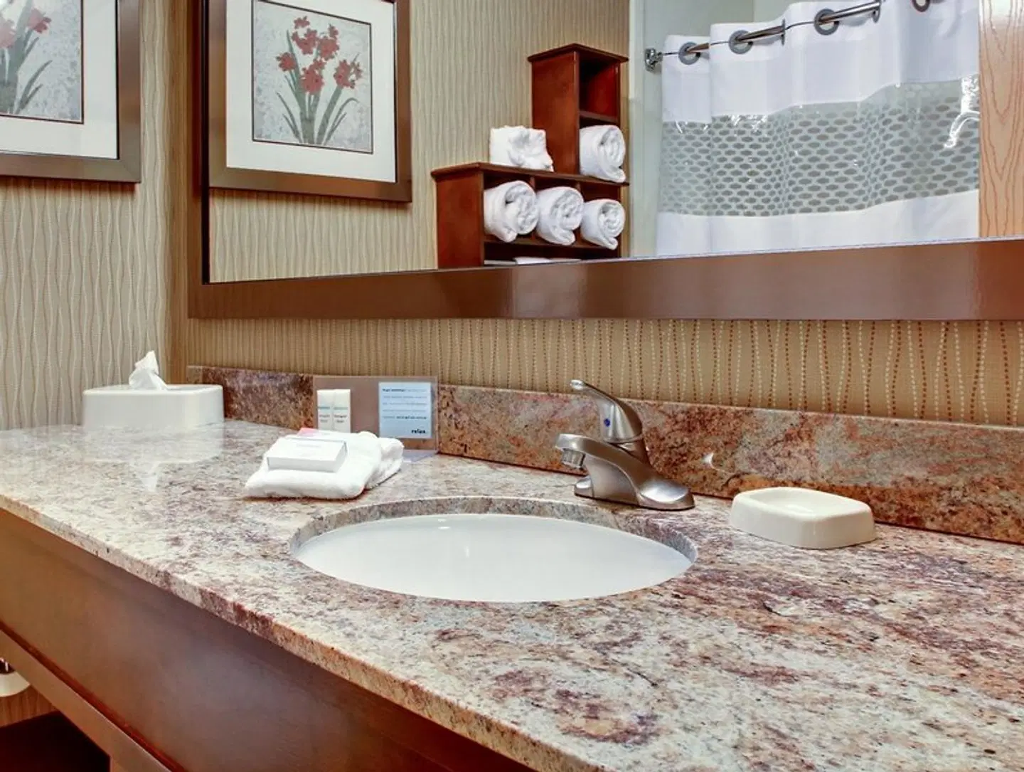 Hampton Inn Ottawa (Starved Rock Area) Badezimmer