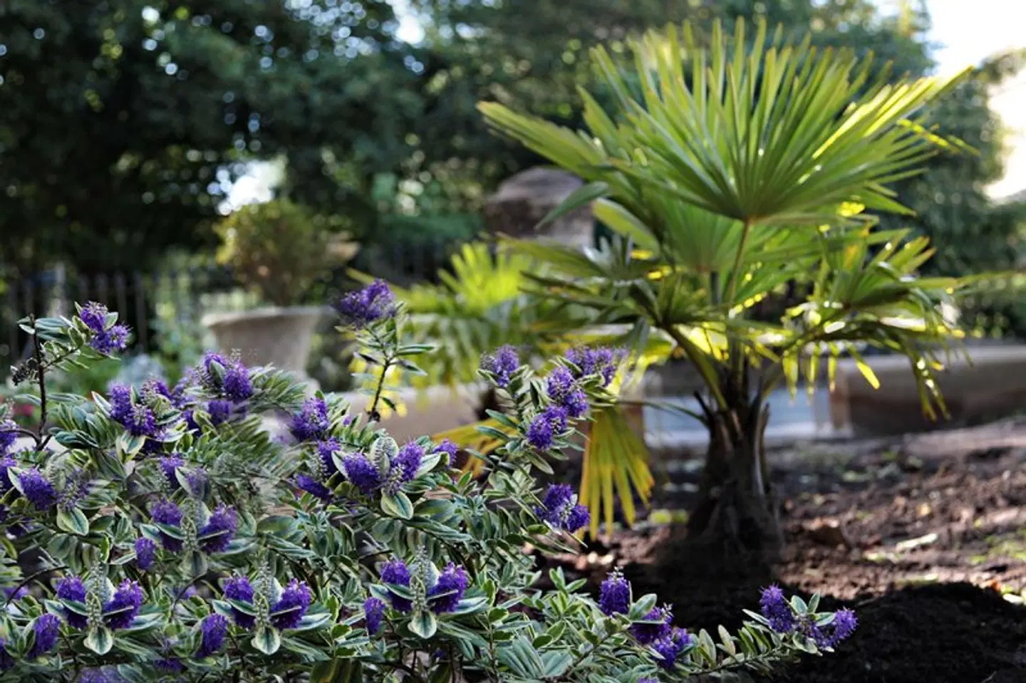 Victoria Square Hotel Clifton Village Garten