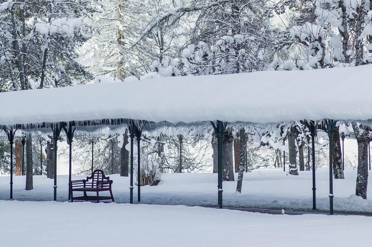 Waldhaus Flims Wellness Resort, Autograph Collection LANDSCAPE