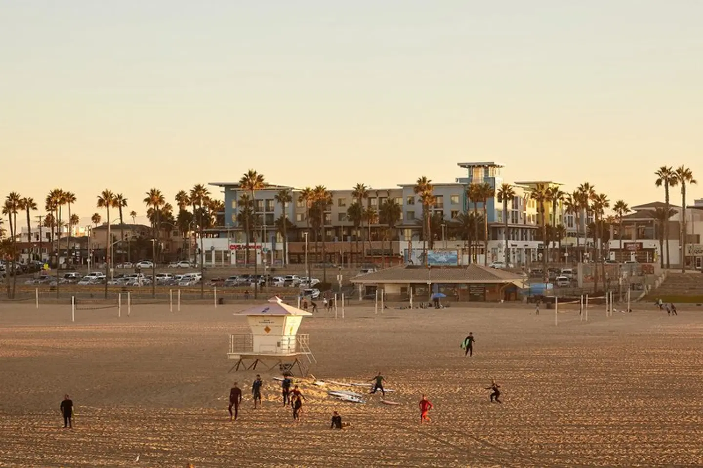 Kimpton Shorebreak Resort Tiere