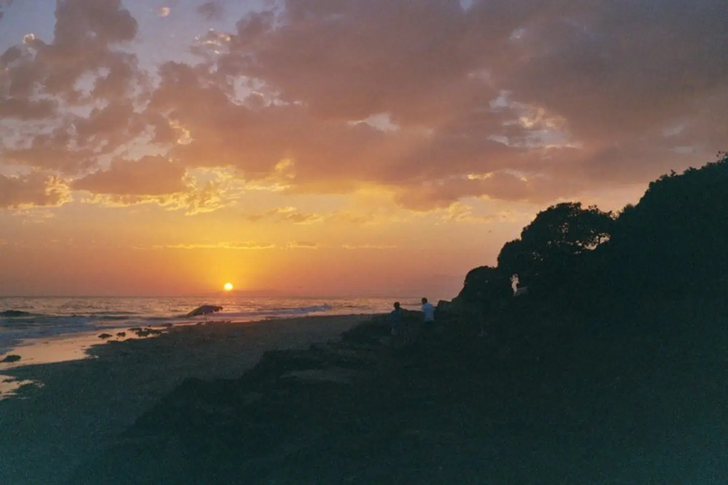 Holiday Inn Express & Suites Carpinteria by IHG LANDSCAPE