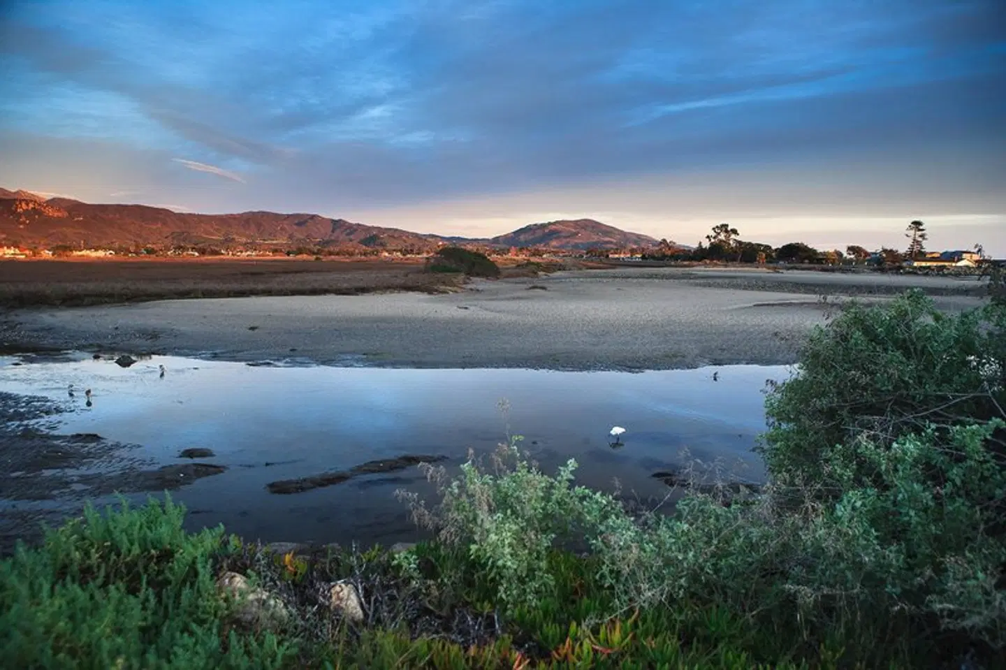 Holiday Inn Express & Suites Carpinteria by IHG LANDSCAPE