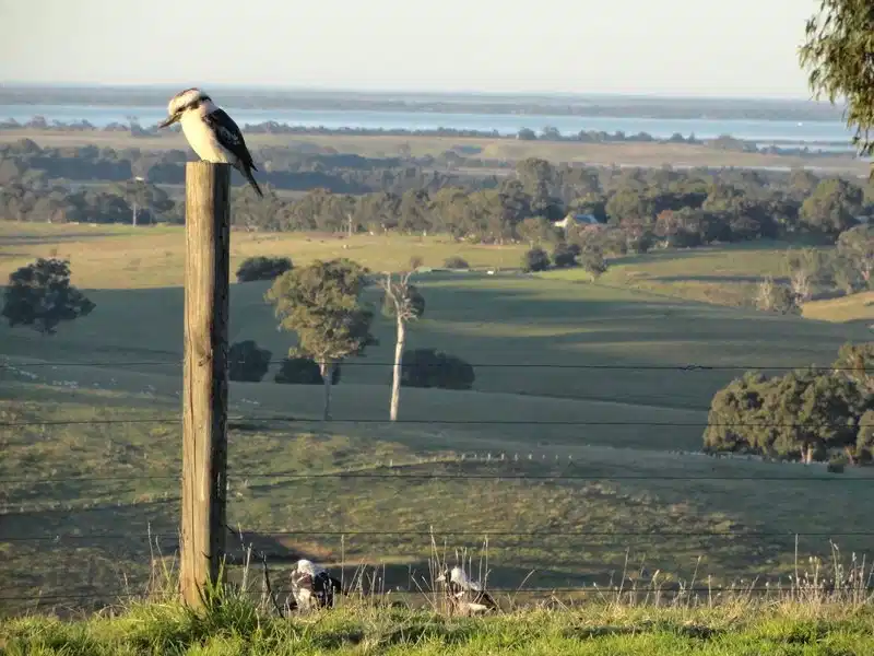 Down to Earth Farm Retreat – Hotelfoto