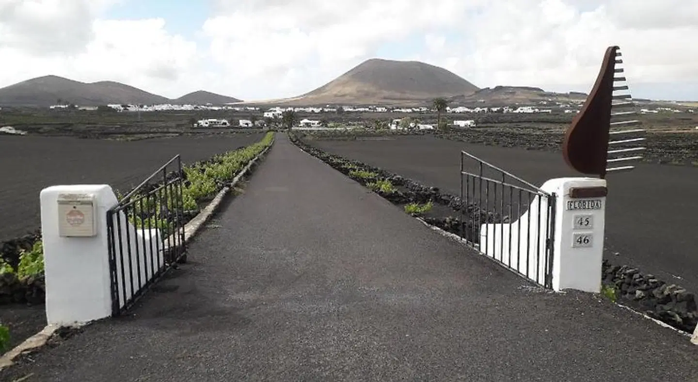 Ecofinca La Buganvilla - Adults Only LANDSCAPE