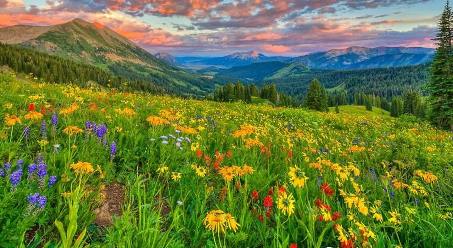 The Alpine Inn & Suites LANDSCAPE