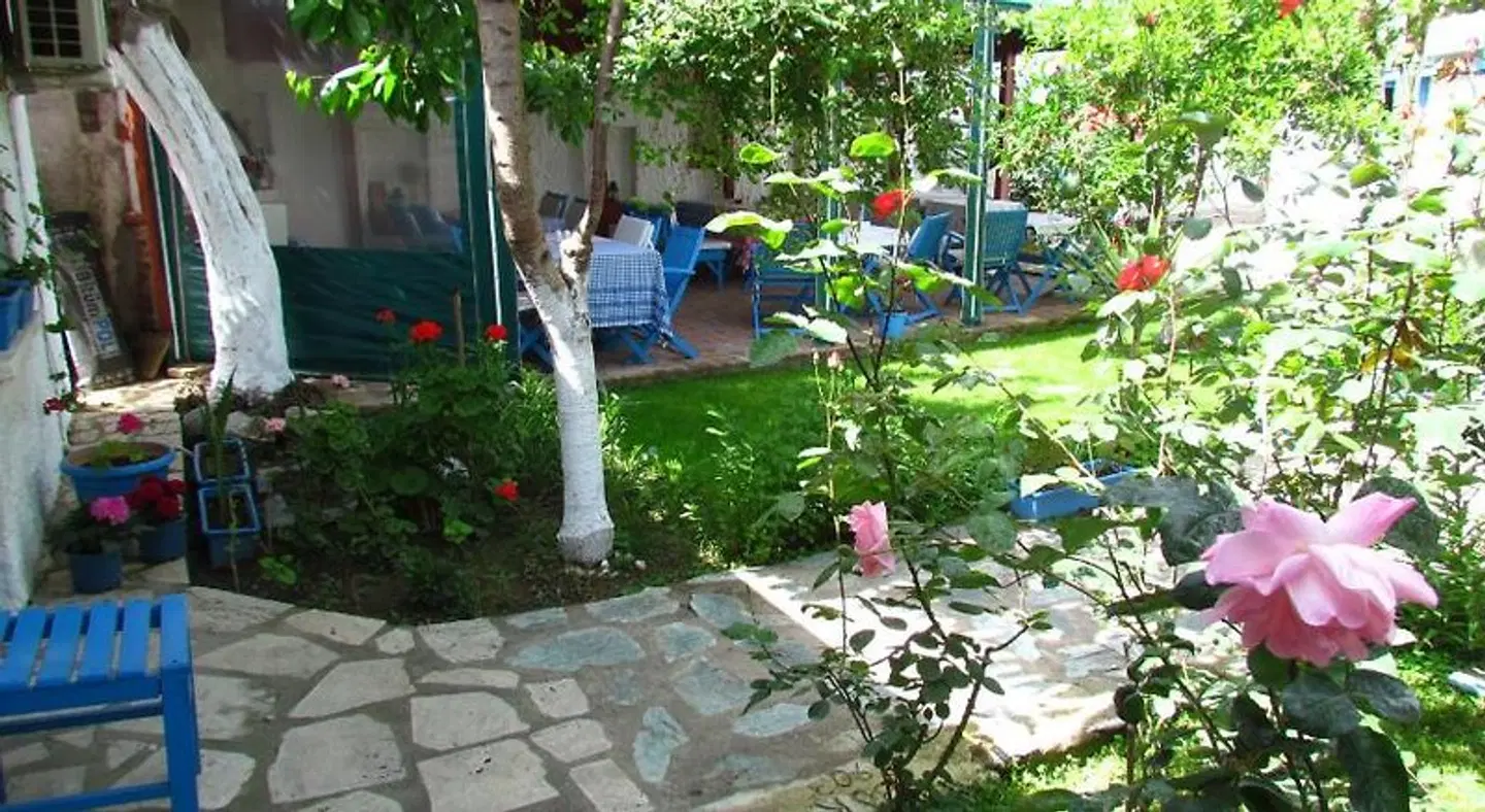 Amazon Antique Garten