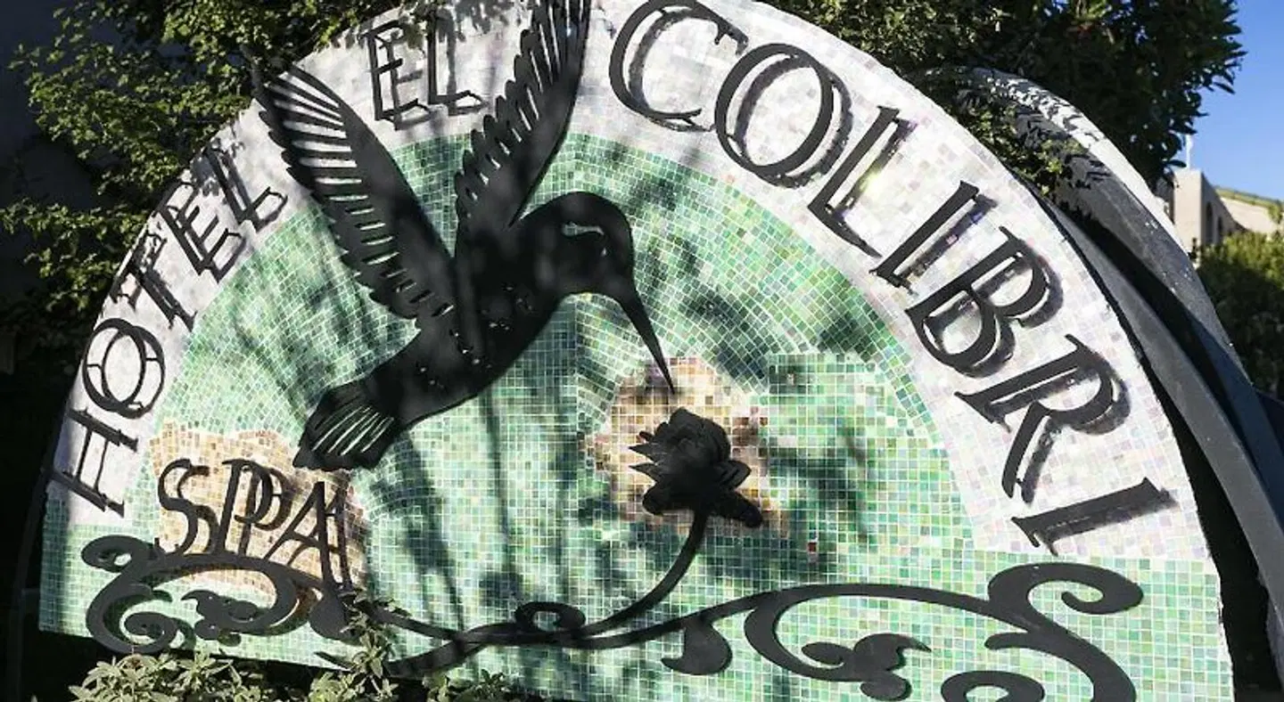 El Colibri Boutique Hotel & Spa Tiere