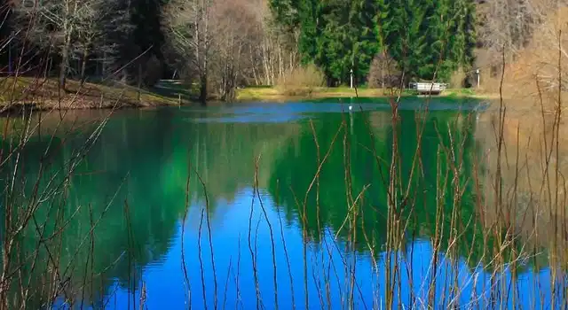 Hotel-Resort Waldachtal - Adults only Landschaft
