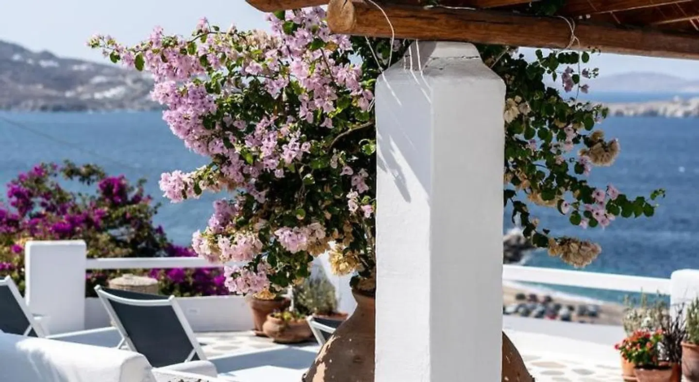 Madalena Terrasse