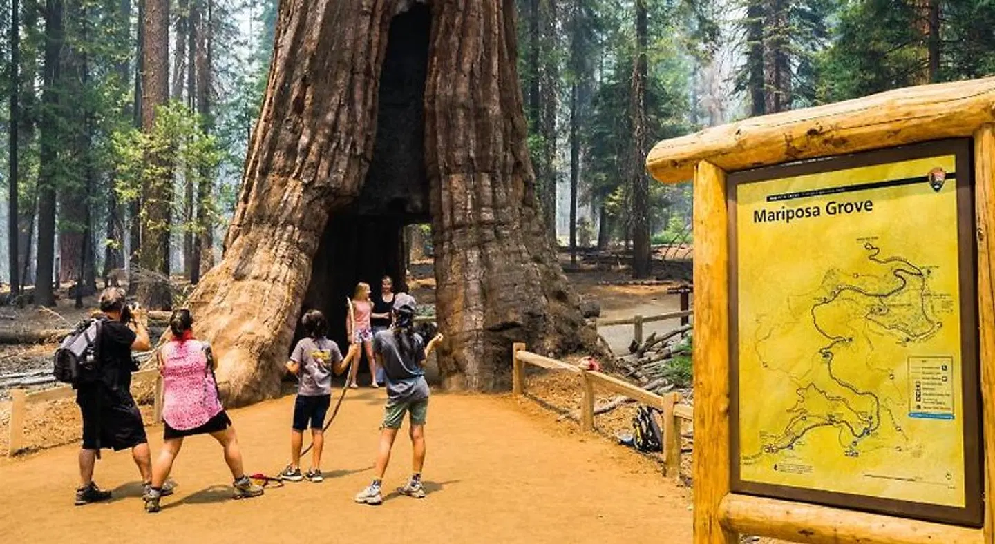 The Monarch SPORTS_AND_LEISURE