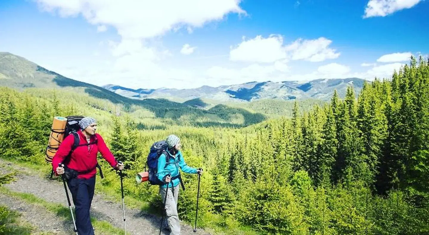 The Monarch LANDSCAPE