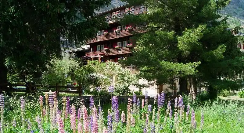 Alpina – Hotelfoto