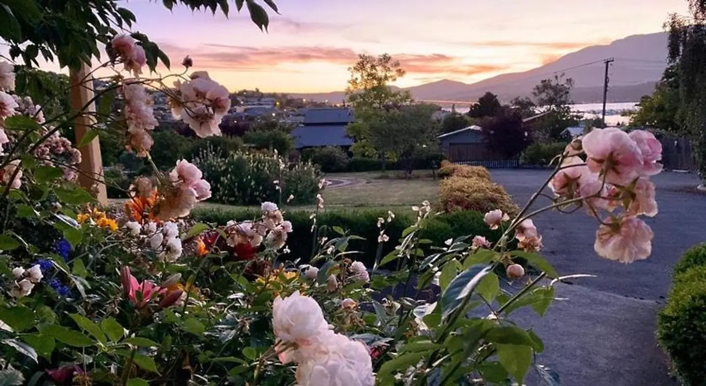 Orana House Garten