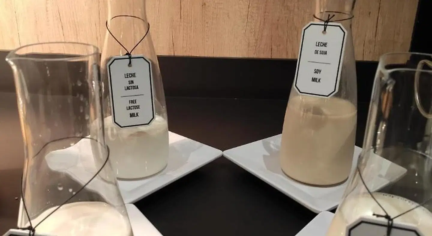 Delfín ROOM_EXAMPLE