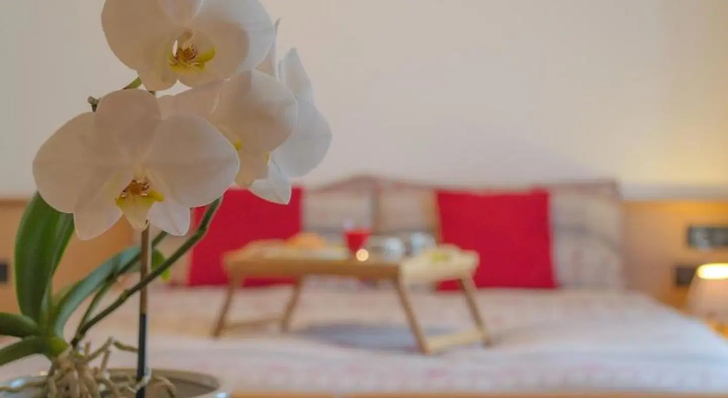 Meublè Rosalpina ROOM_EXAMPLE