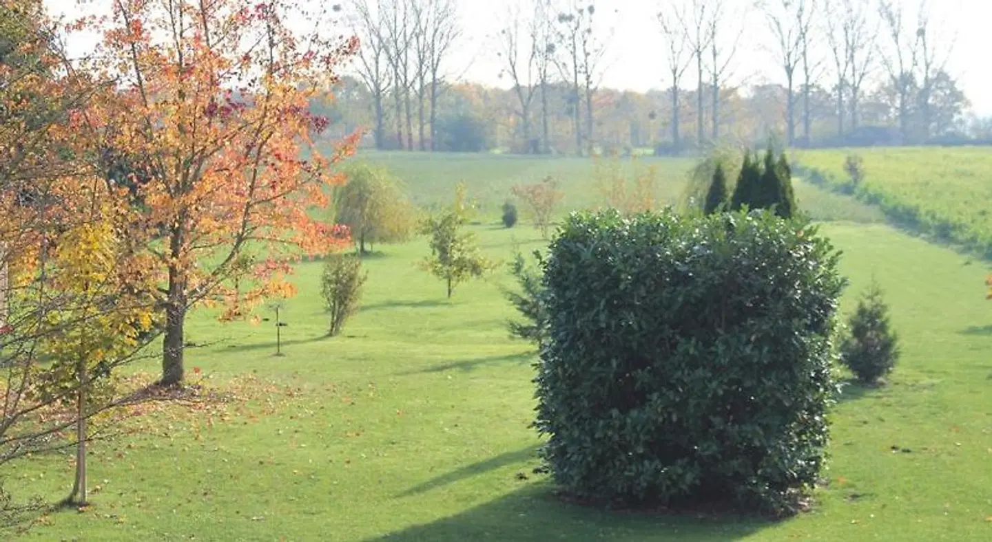Landhaus Jägerkrug LANDSCAPE