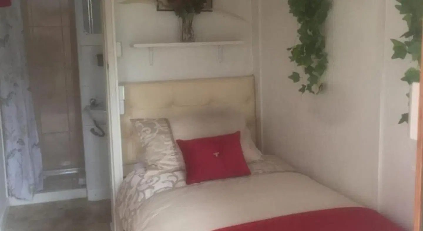 Alice Guest house ROOM_EXAMPLE