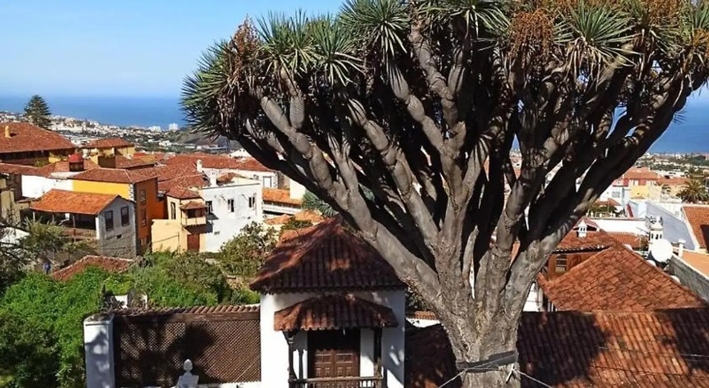 Hostel Tenerife EXTERIOR