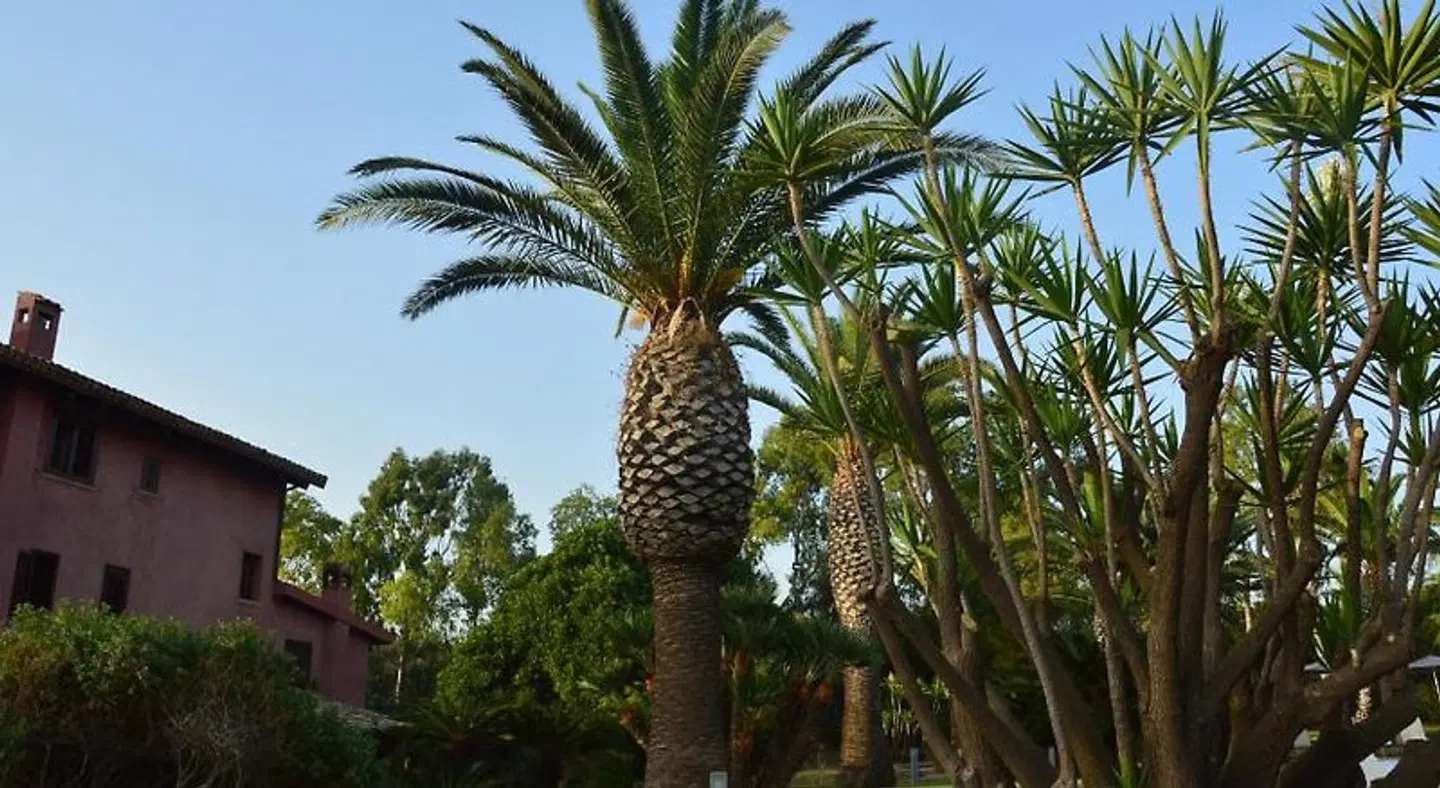 CasaRealia Garten