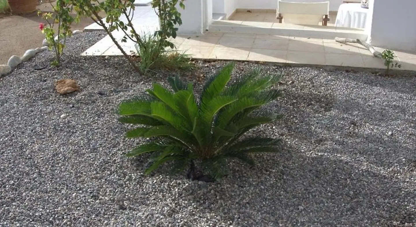 Nicholas Beach Studios Garten