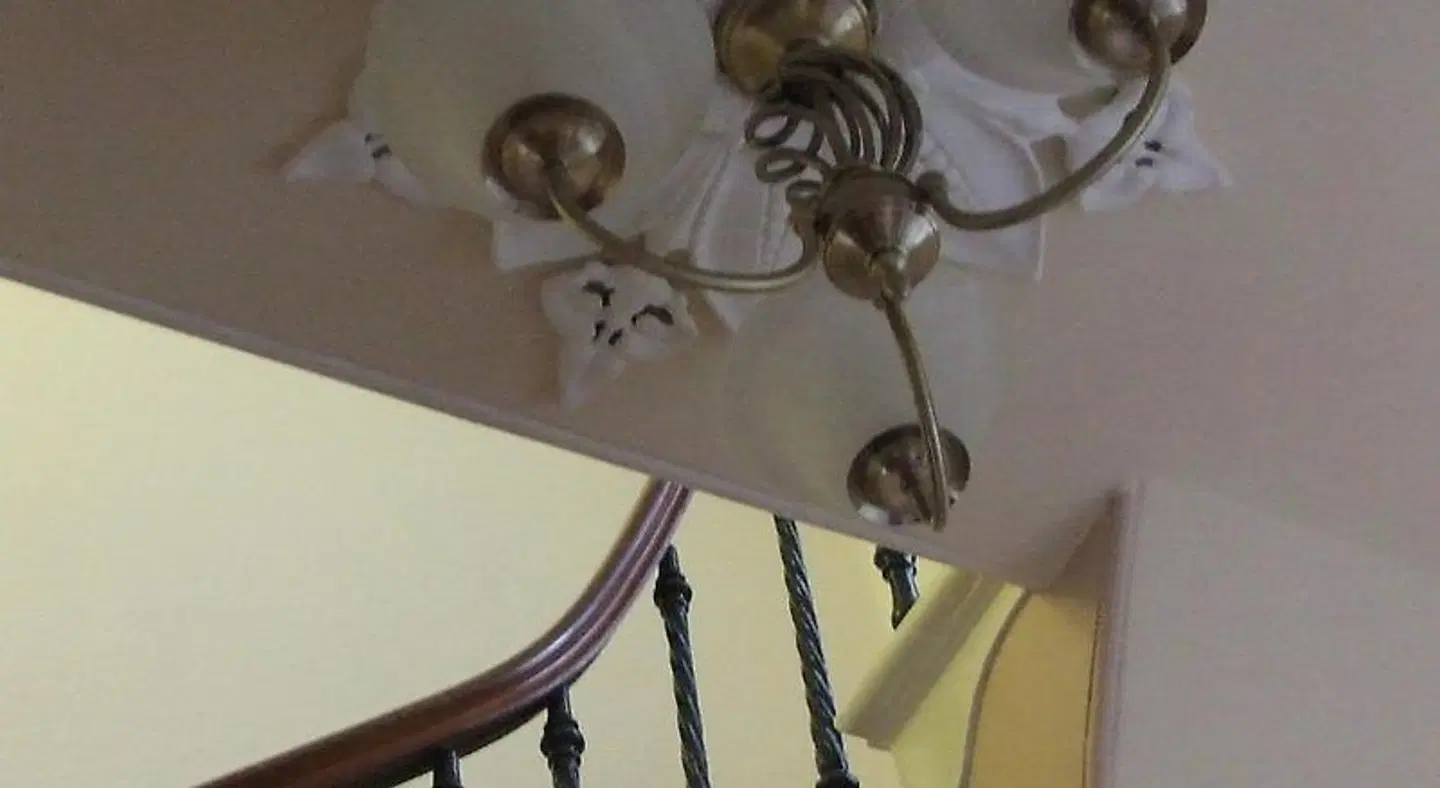 The Burnside Guest House Tiere