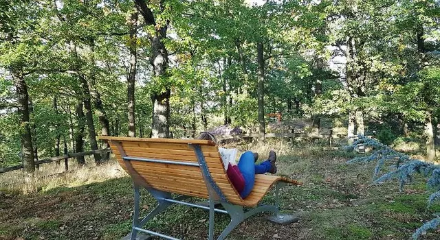 Pension Forsthaus Georgshöhe Tiere