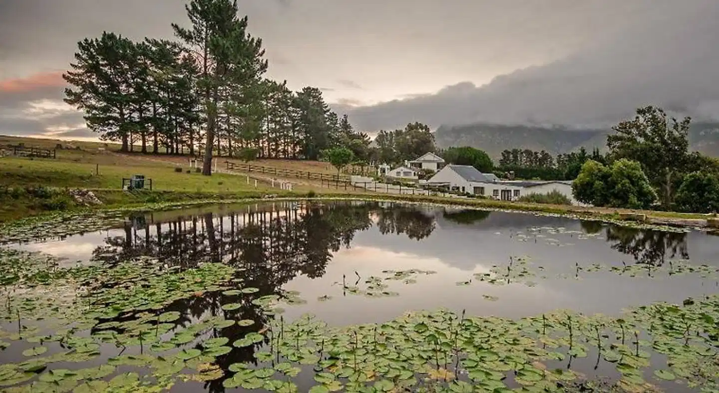 High Season Farm Self Catering Cottages Strand
