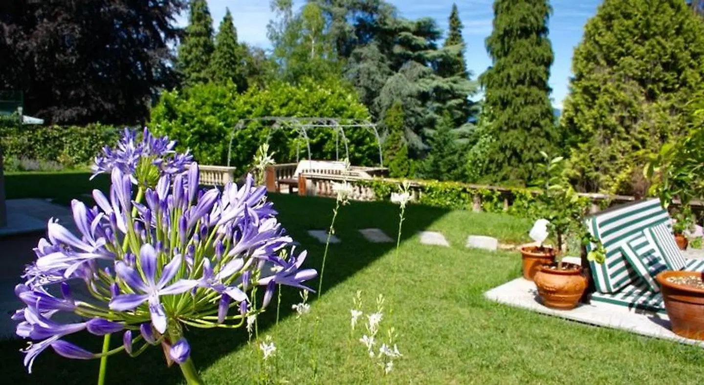 White Lilac Garten