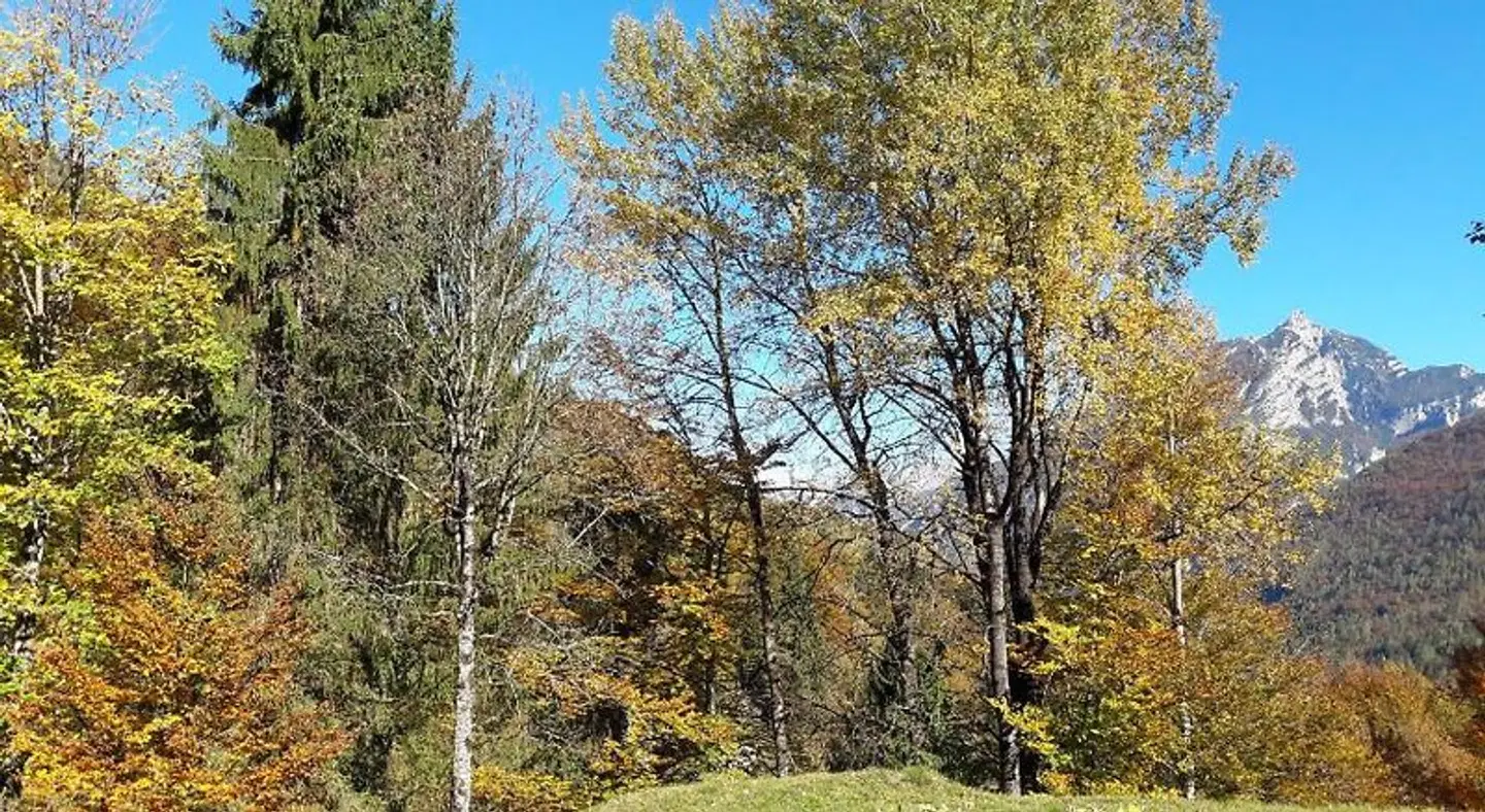 B&B Dolomia LANDSCAPE