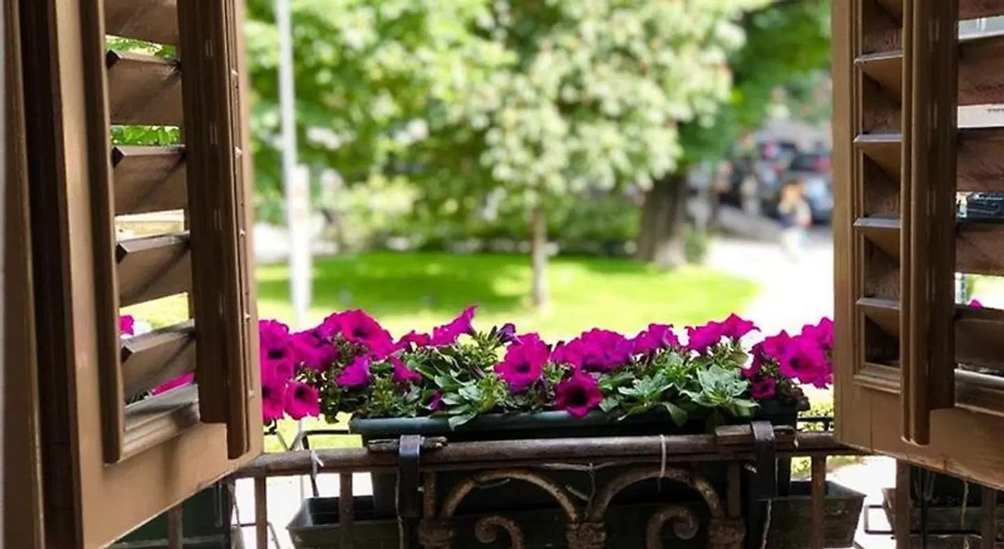 Sanmicheli Terrasse