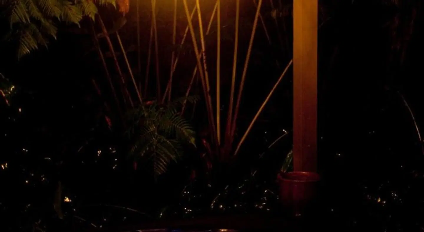 Volcano Mist Cottage LANDSCAPE