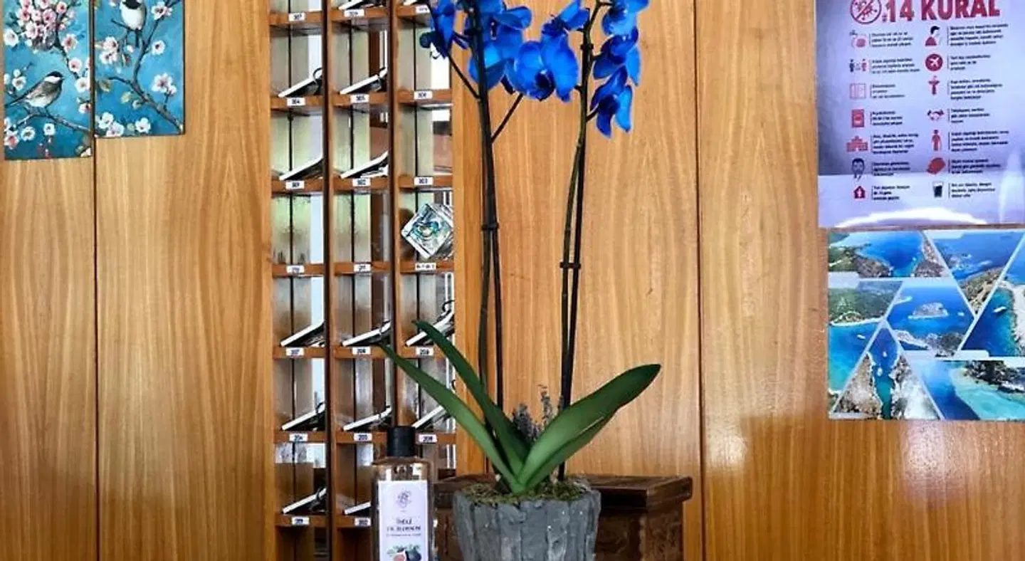 Kekova Hotel LOUNGE_LOBBY