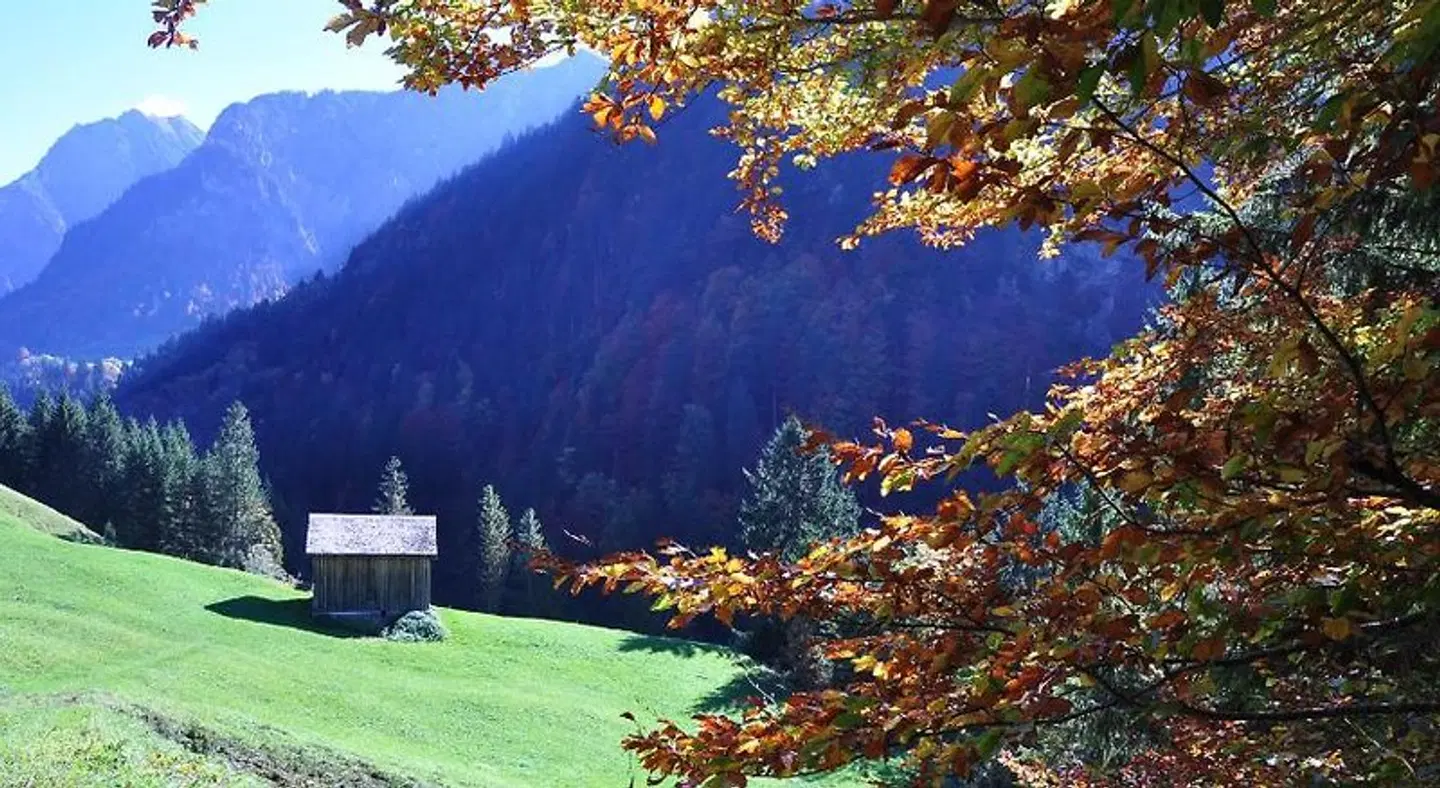 Hotel Gasthof Kreuz Tiere