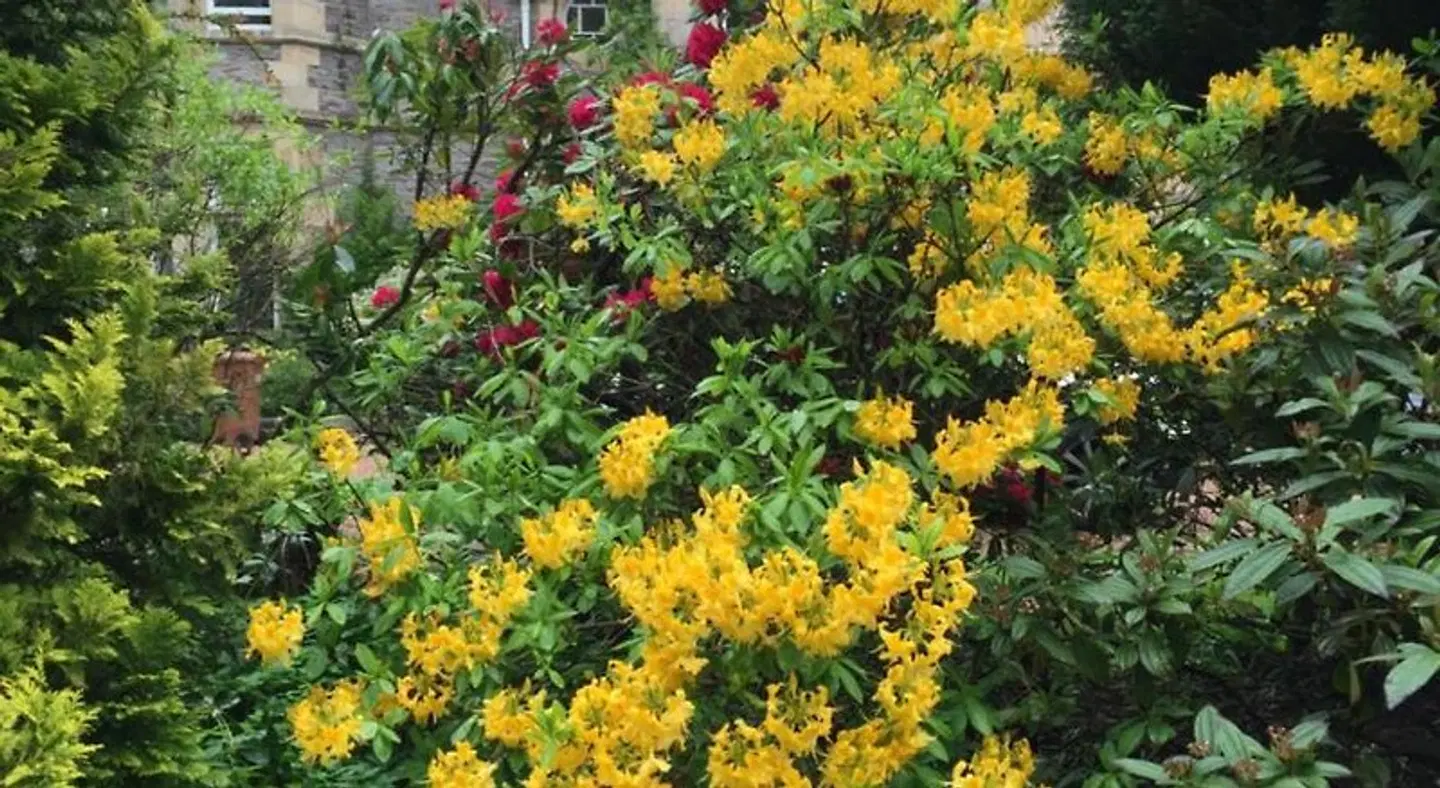 Firlands Lodge Garten