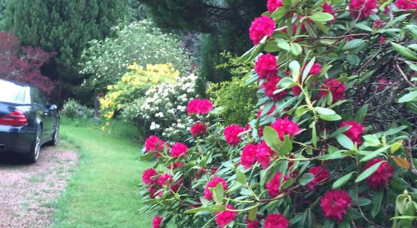 Firlands Lodge LANDSCAPE