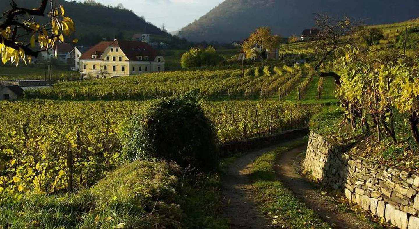 Hotel Weinberghof & Weingut Lagler Garten