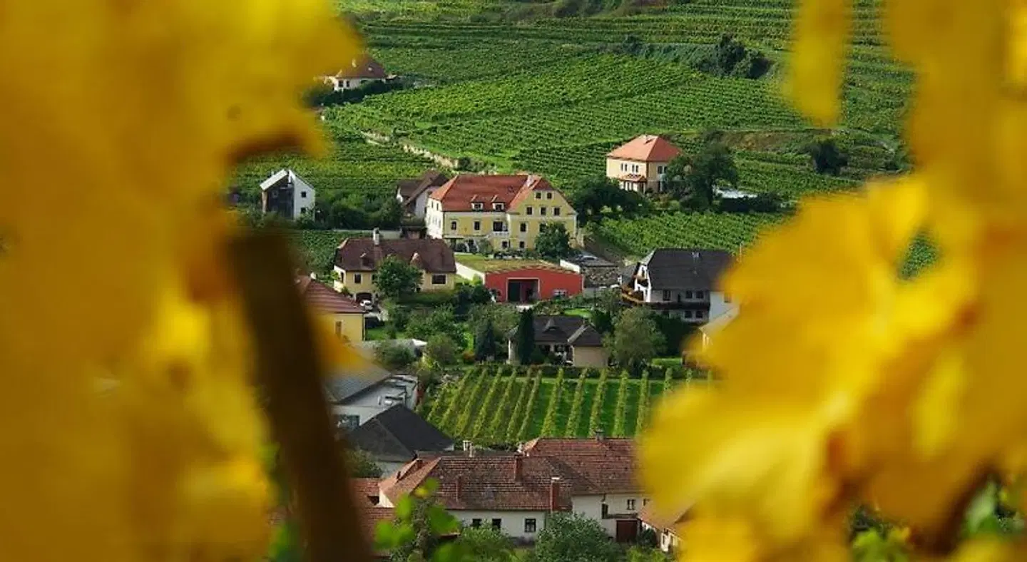 Hotel Weinberghof & Weingut Lagler Garten