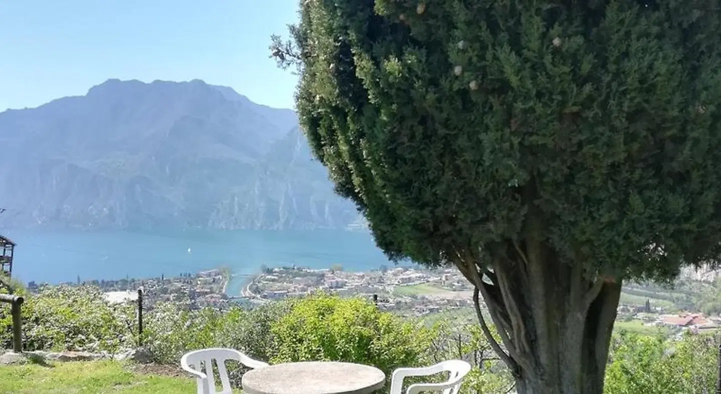 B&B Garden Belvedere LANDSCAPE