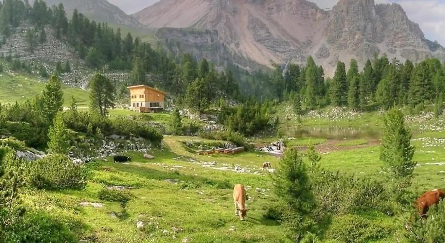 Hotel Resa Blancia LANDSCAPE