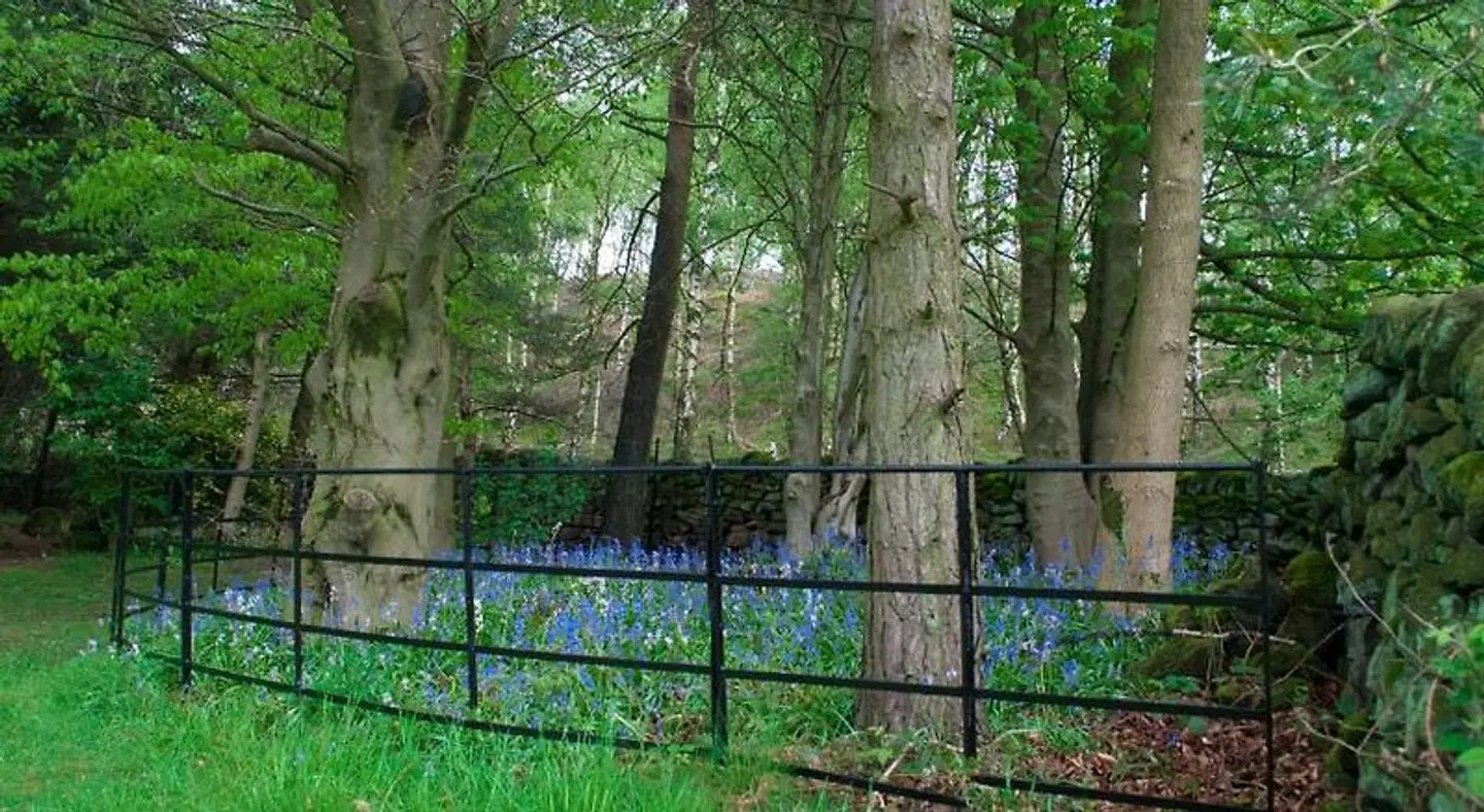 Robin Hood Farm B&B LANDSCAPE