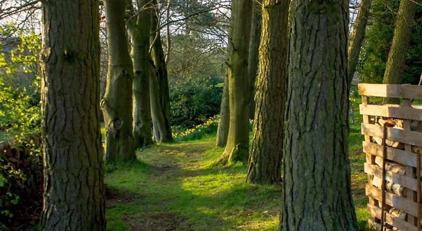 Robin Hood Farm B&B Garten